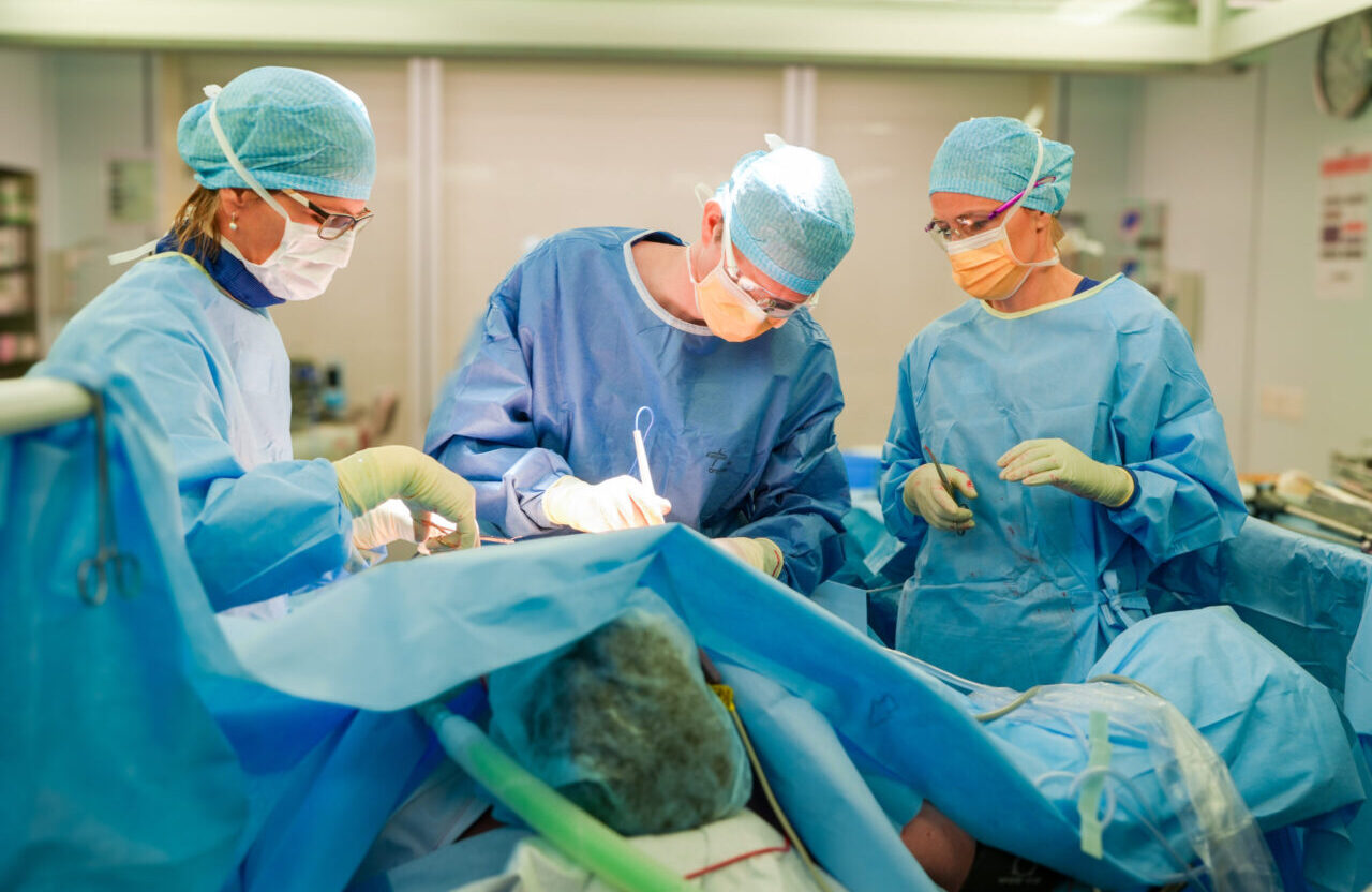Unser Schwerpunkt Bauchchirurgie Swiss1Chirurgie unser-schwerpunkt-bauchchirurgie-swiss1chirurgie